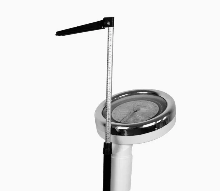 Health Scale